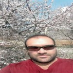تصویر پروفایل حامد