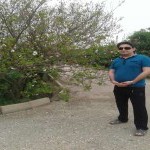 تصویر پروفایل آرمان