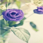 تصویر پروفایل محمود