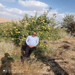 تصویر پروفایل هادی قاسمی