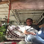 تصویر پروفایل رامین