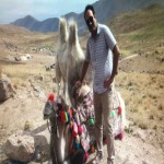 تصویر پروفایل امیر سجاد