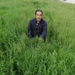 تصویر پروفایل مهرداد