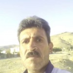 تصویر پروفایل مازیار