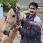 تصویر پروفایل محسن