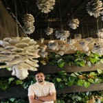 تصویر پروفایل مهدی