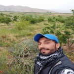 تصویر پروفایل مهدی