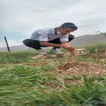 تصویر پروفایل حسین