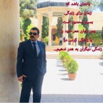 تصویر پروفایل مهدی مرادی