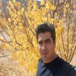 تصویر پروفایل علیرضا
