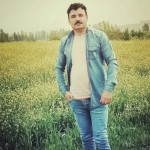 تصویر پروفایل شاهین