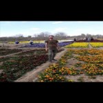 تصویر پروفایل رامین