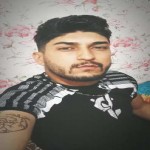 تصویر پروفایل شاهین