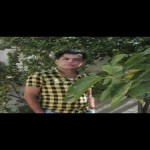 تصویر پروفایل شاهین