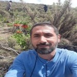 تصویر پروفایل شایان