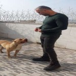 تصویر پروفایل کیهان