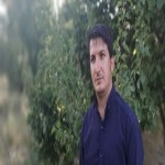 تصویر پروفایل نوید تصویر پروفایل نوید