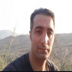 تصویر پروفایل مهرشاد