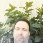 تصویر پروفایل علی