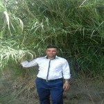 تصویر پروفایل سید شمس الدین