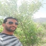 تصویر پروفایل محمدرضا