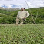 تصویر پروفایل وحید