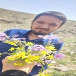 تصویر پروفایل مصطفی