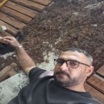 تصویر پروفایل حامد