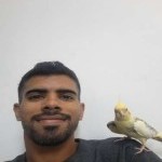 تصویر پروفایل یاس