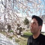 تصویر پروفایل بهراد