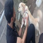 تصویر پروفایل محمدرضا