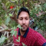 تصویر پروفایل حامد