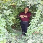 تصویر پروفایل مهر شاد