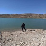 تصویر پروفایل آرش