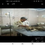 تصویر پروفایل احمد