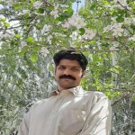 تصویر پروفایل مسعود