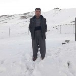 تصویر پروفایل حامد