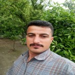 تصویر پروفایل مجتبی