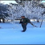 تصویر پروفایل پیروز