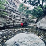 تصویر پروفایل مجتبی