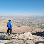 تصویر پروفایل حامد