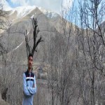 تصویر پروفایل علیرضا