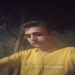 تصویر پروفایل احمد پیرنیا