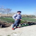 تصویر پروفایل سالار