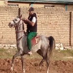 تصویر پروفایل ماهان