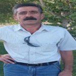 تصویر پروفایل شاهرخ