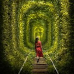 شرایط صیغه روزانه شهرکرد