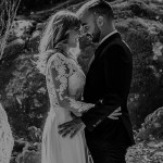 سایت موقت نگار چند عضو دارد؟