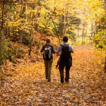 لینک همسرگزینی بهترین همسر