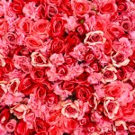 بهترین اس ام اس عاشقانه انگلیسی برای همسر
